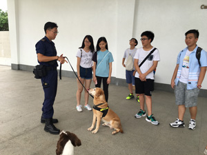 与「执法精英」海关搜查犬会面