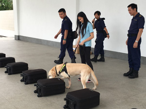 与「执法精英」海关搜查犬会面
